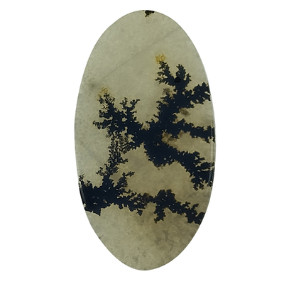 سنگ عقیق سلین کالا مدل شجر طبیعی طرح درخت کد  13528324